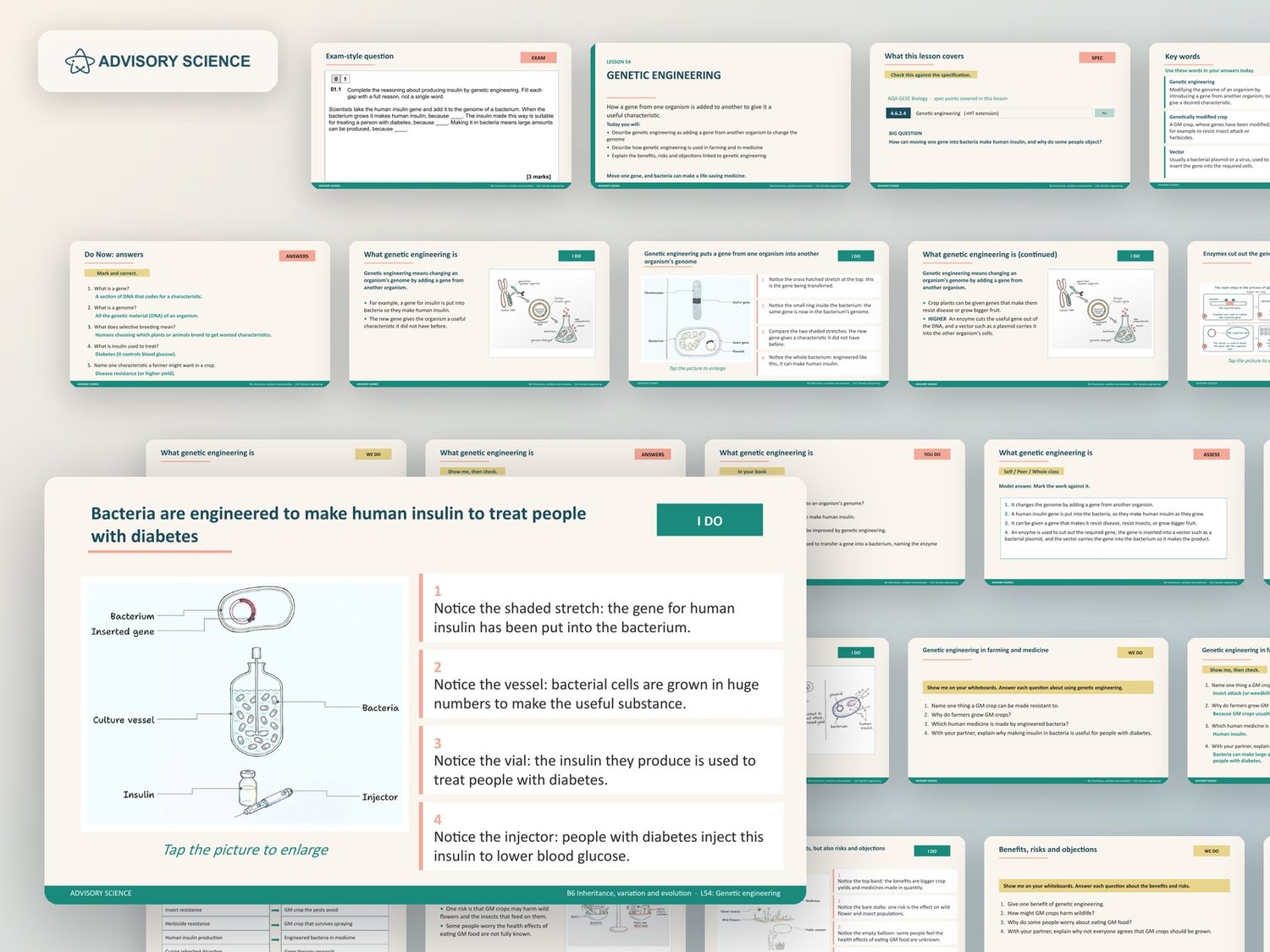 Inheritance, Variation and Evolution Lessons PowerPoint | AQA GCSE Biology B6 8461, 17 Lessons: preview page 3 of 3