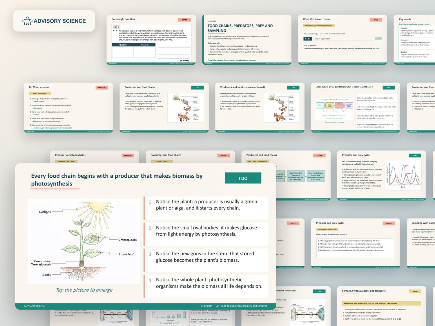 Ecology Lessons PowerPoint | AQA GCSE Biology B7 8461, 15 Lessons: preview page 3 of 3