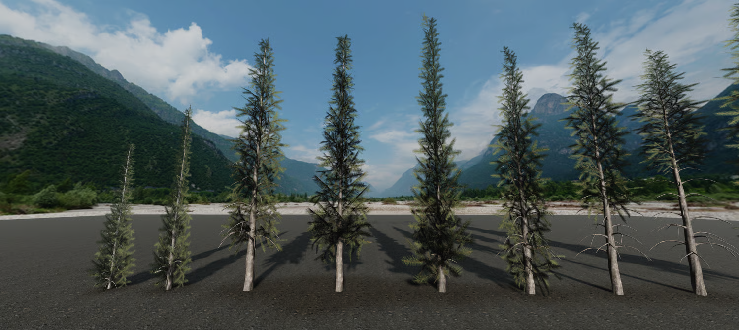 Sparse pine tree models for open woodland scenes