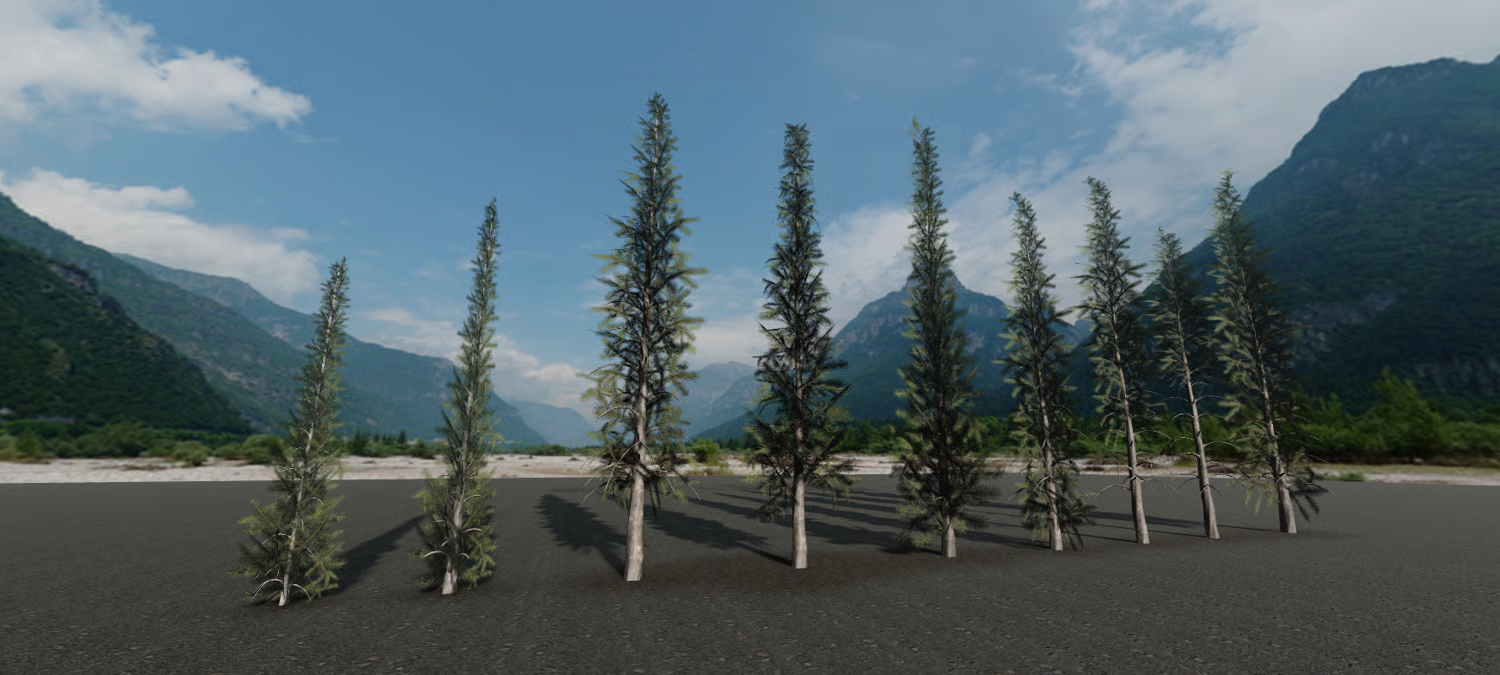 Tall pine trees with realistic bark textures