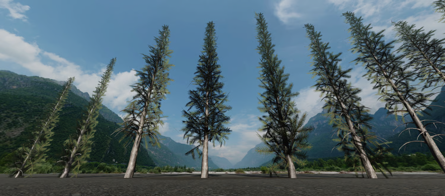 Dense pine foliage for natural forest landscapes