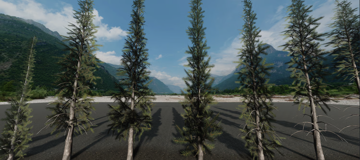Pine trees placed across a mountainous terrain