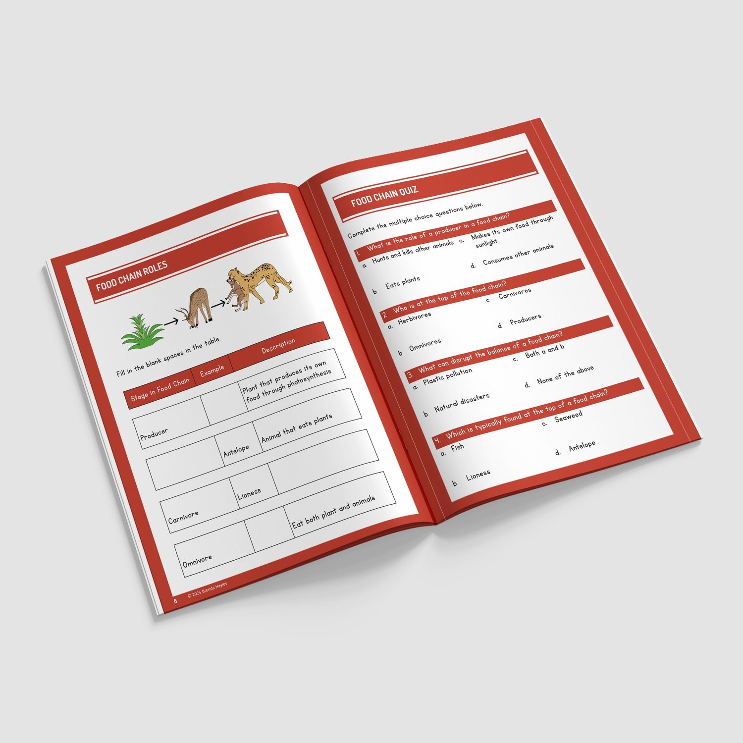 Animals Including Humans Science Worksheets and Workbook | Grades 4-6 | NGSS Aligned | Digestion Practice: preview page 2 of 4