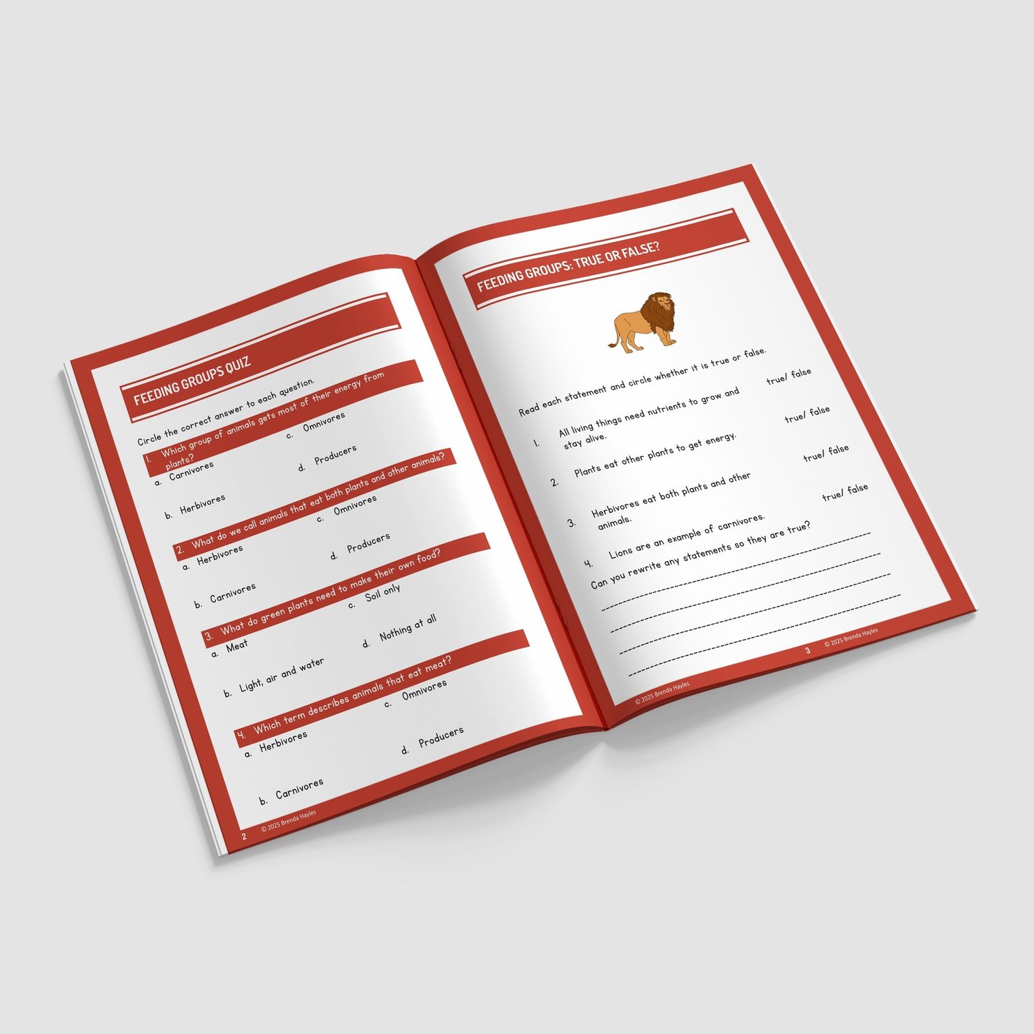 Animals Including Humans Science Worksheets and Workbook | Grades 3-5 | NGSS Aligned | Feeding Groups: preview page 2 of 4