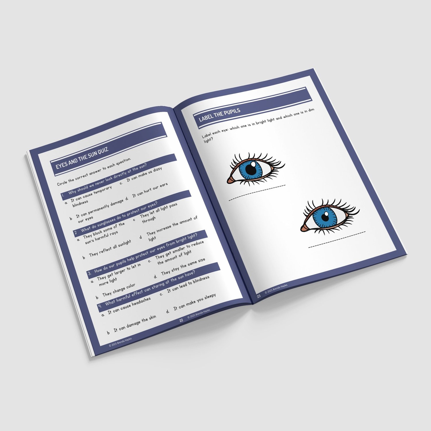 Light Science Worksheets and Workbook | Grades 2-4 | NGSS Aligned | Shadow and Reflection Testing: preview page 4 of 4