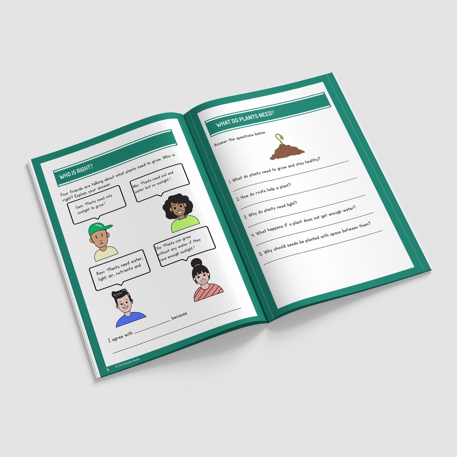 Plants Science Worksheets and Workbook | Grades 2-4 | NGSS Aligned | Water Movement and Pollination: preview page 3 of 4