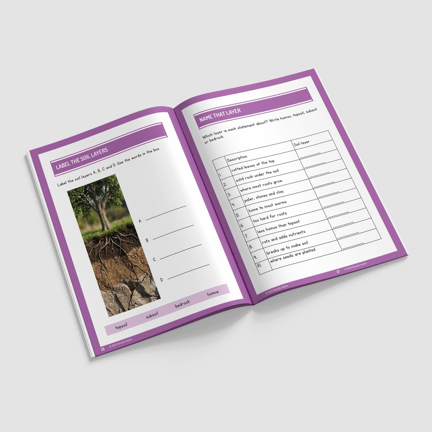 Rocks Science Worksheets and Workbook | Grades 3-5 | NGSS Aligned | Rock Testing and Soil Jars: preview page 4 of 4
