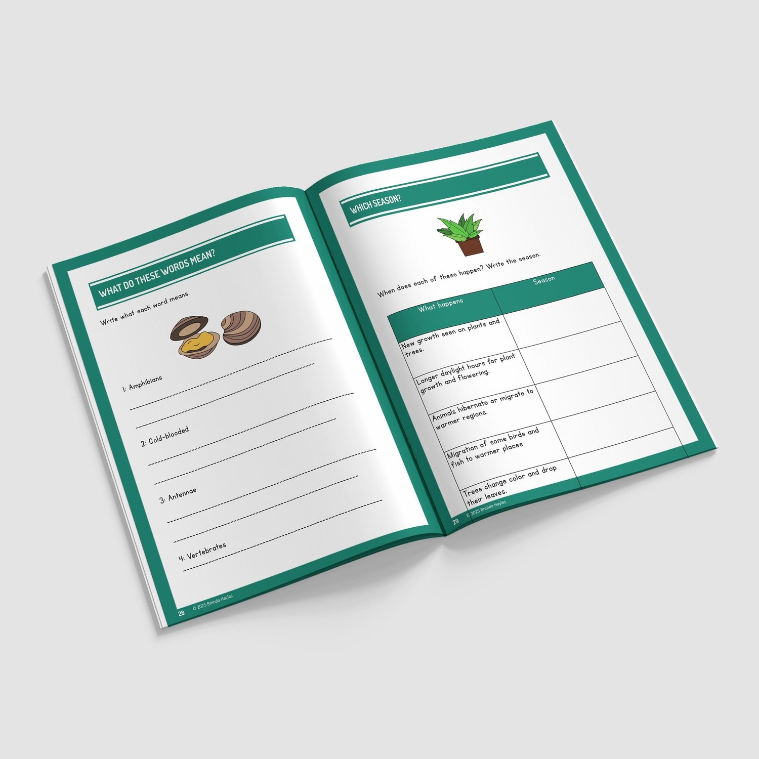 Living Things and Their Habitats Worksheets and Workbook | Grades 3-5 | NGSS Aligned | Key Practice: preview page 4 of 4