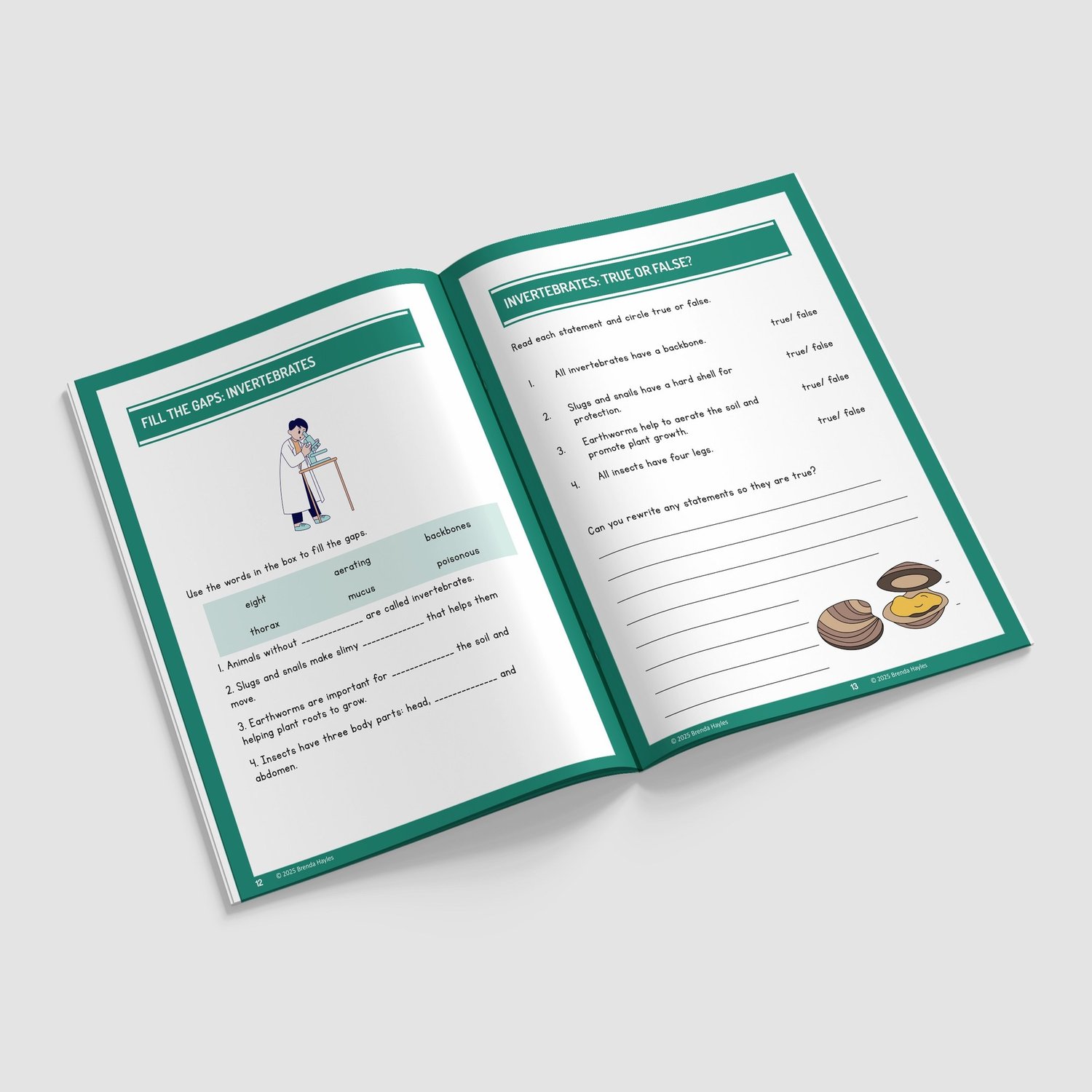 Living Things and Their Habitats Worksheets and Workbook | Grades 3-5 | NGSS Aligned | Key Practice: preview page 3 of 4
