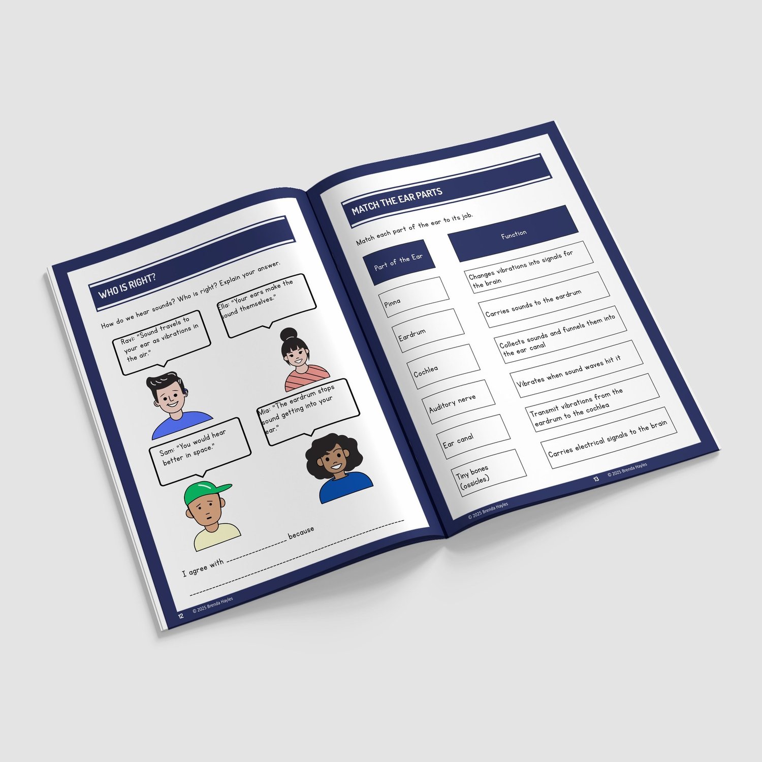 Sound Science Worksheets and Workbook | Grades 3-4 | NGSS Aligned | Pitch and Ear Labeling: preview page 4 of 4