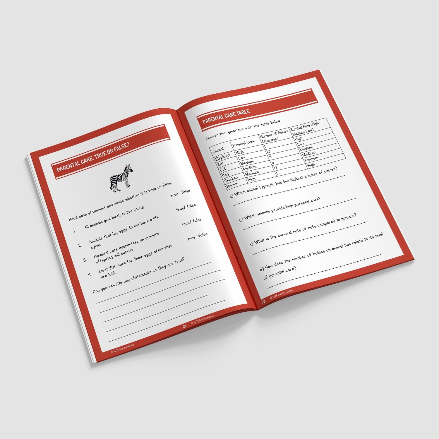Animals Including Humans Worksheets and Workbook | Grades 3-5 | NGSS Aligned | Gestation and Growth: preview page 3 of 4