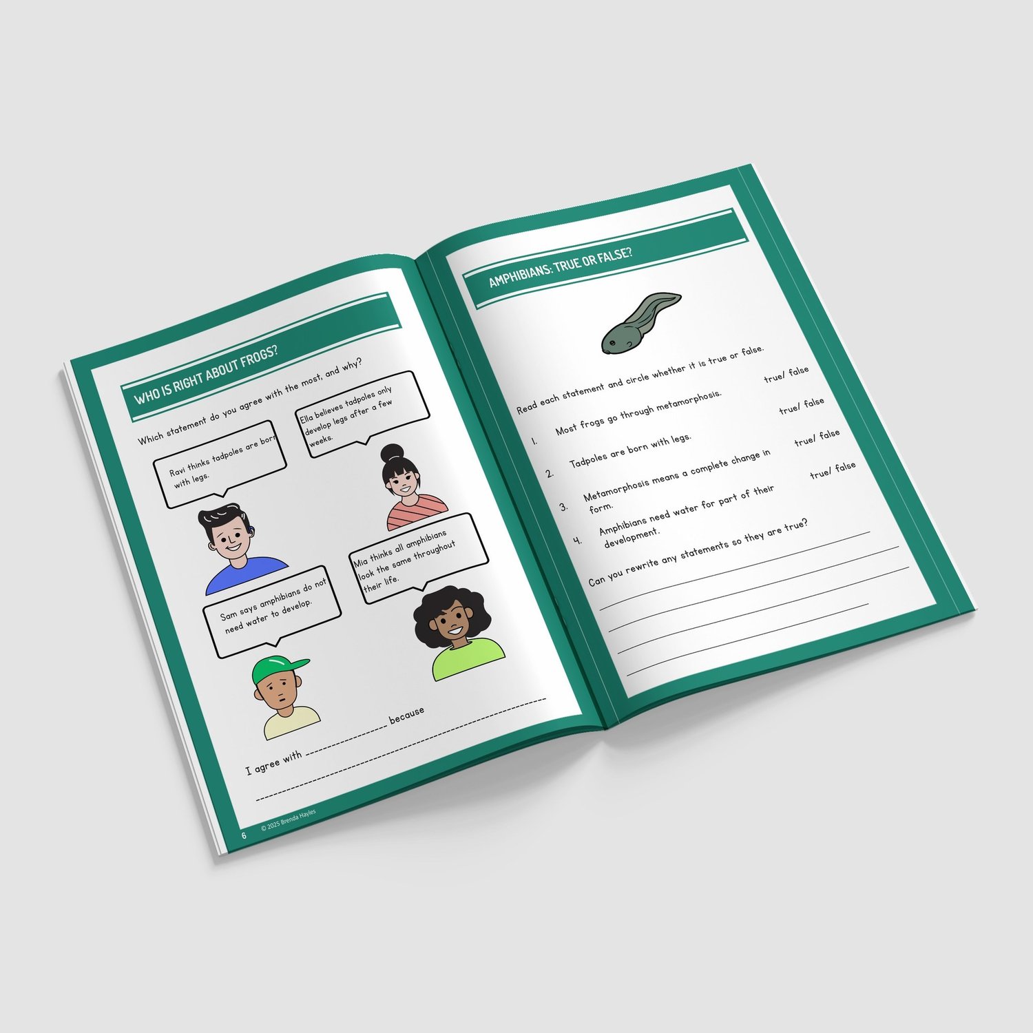 Living Things and Their Habitats Worksheets and Workbook | Grades 3-4 | NGSS Aligned | Life Cycles: preview page 2 of 4