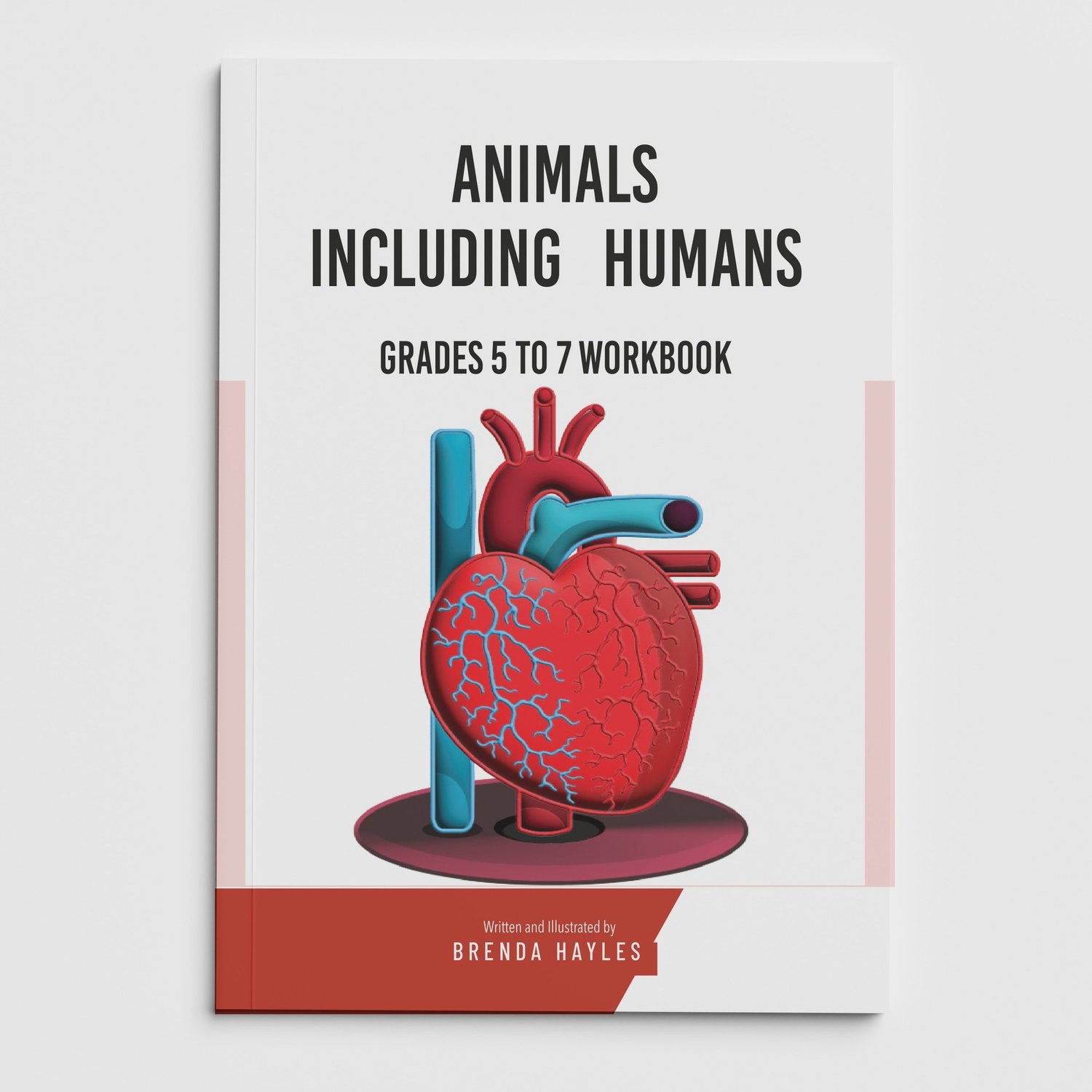 Animals Including Humans Science Worksheets and Workbook | Grades 5-7 | Heart Rate and Pulse Testing: cover