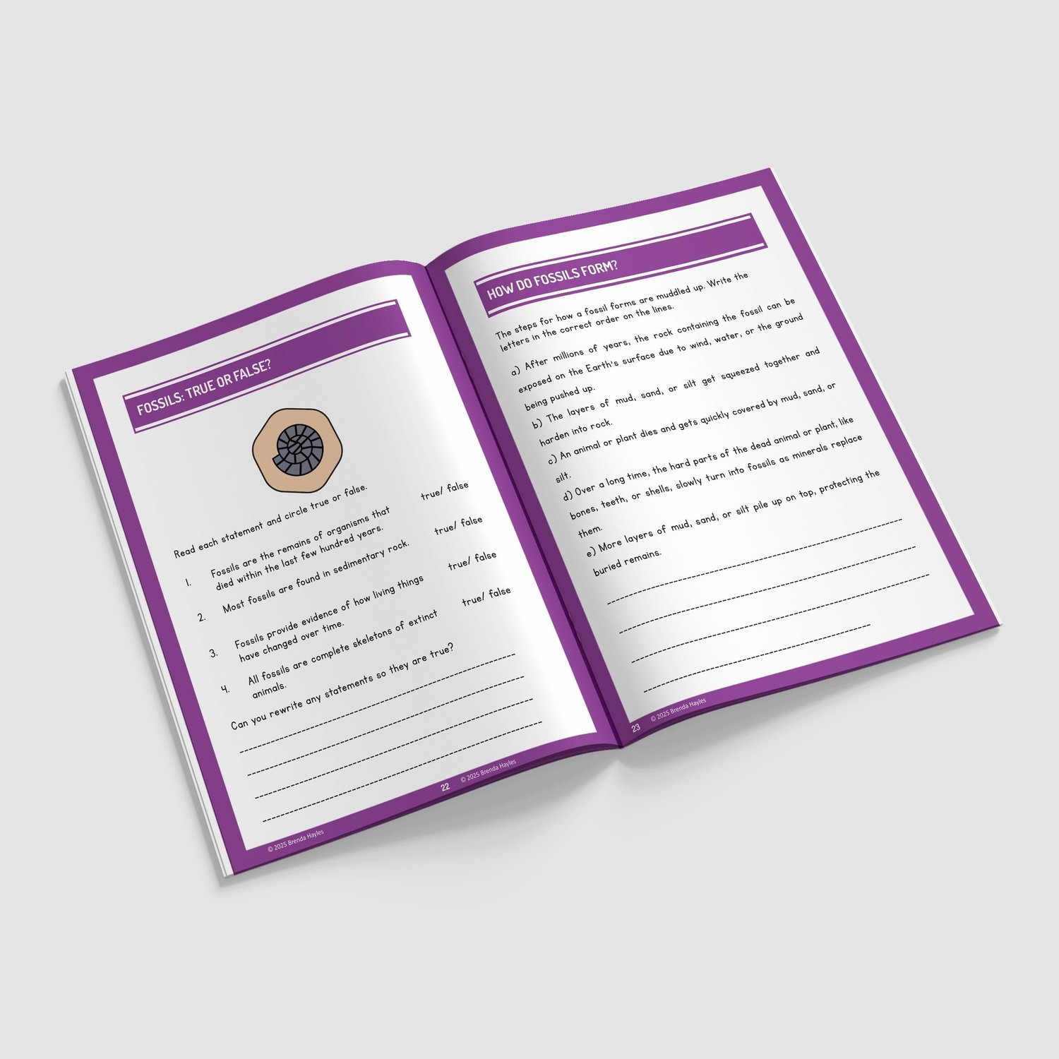 Evolution and Inheritance Worksheets and Workbook | Grades 3-5 | NGSS Aligned | Fossil Data: preview page 4 of 4