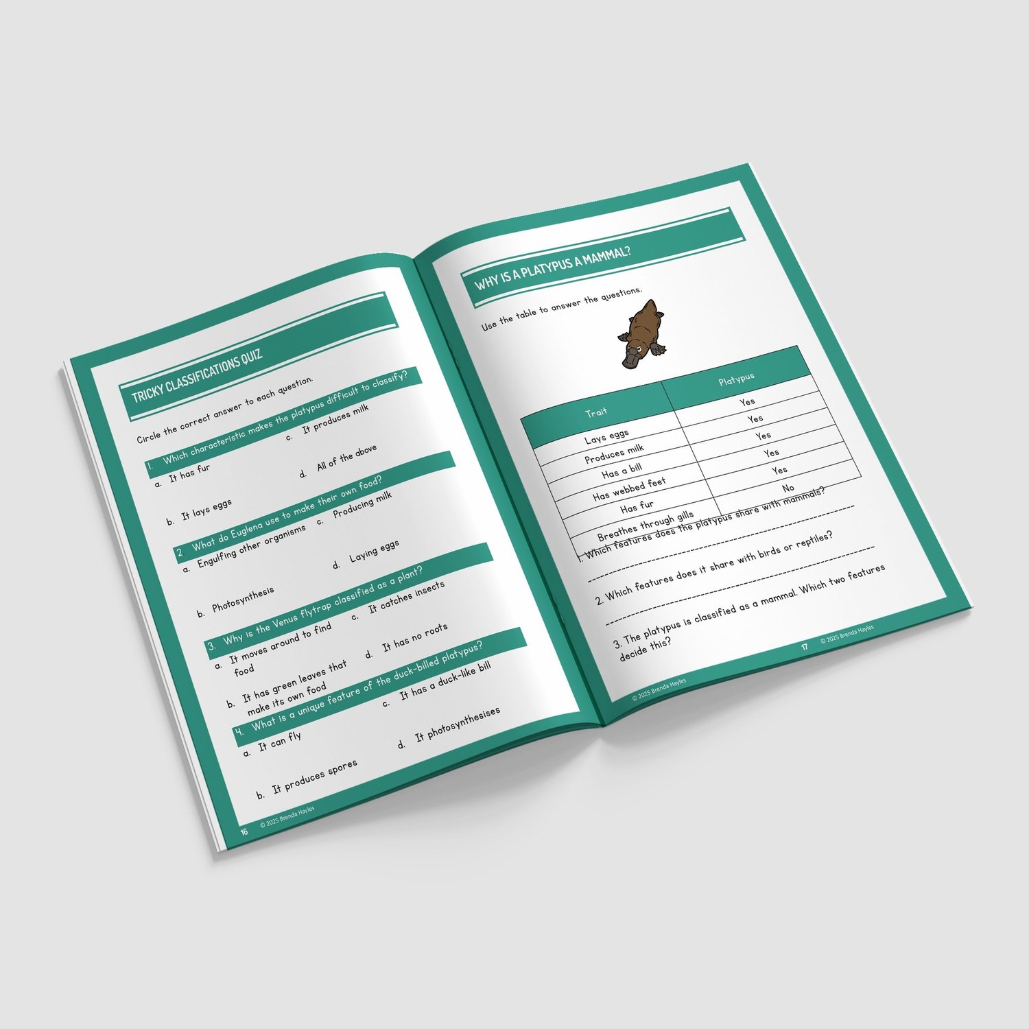Living Things and Their Habitats Worksheets and Workbook | Grades 5-7 | Classification Keys: preview page 4 of 4