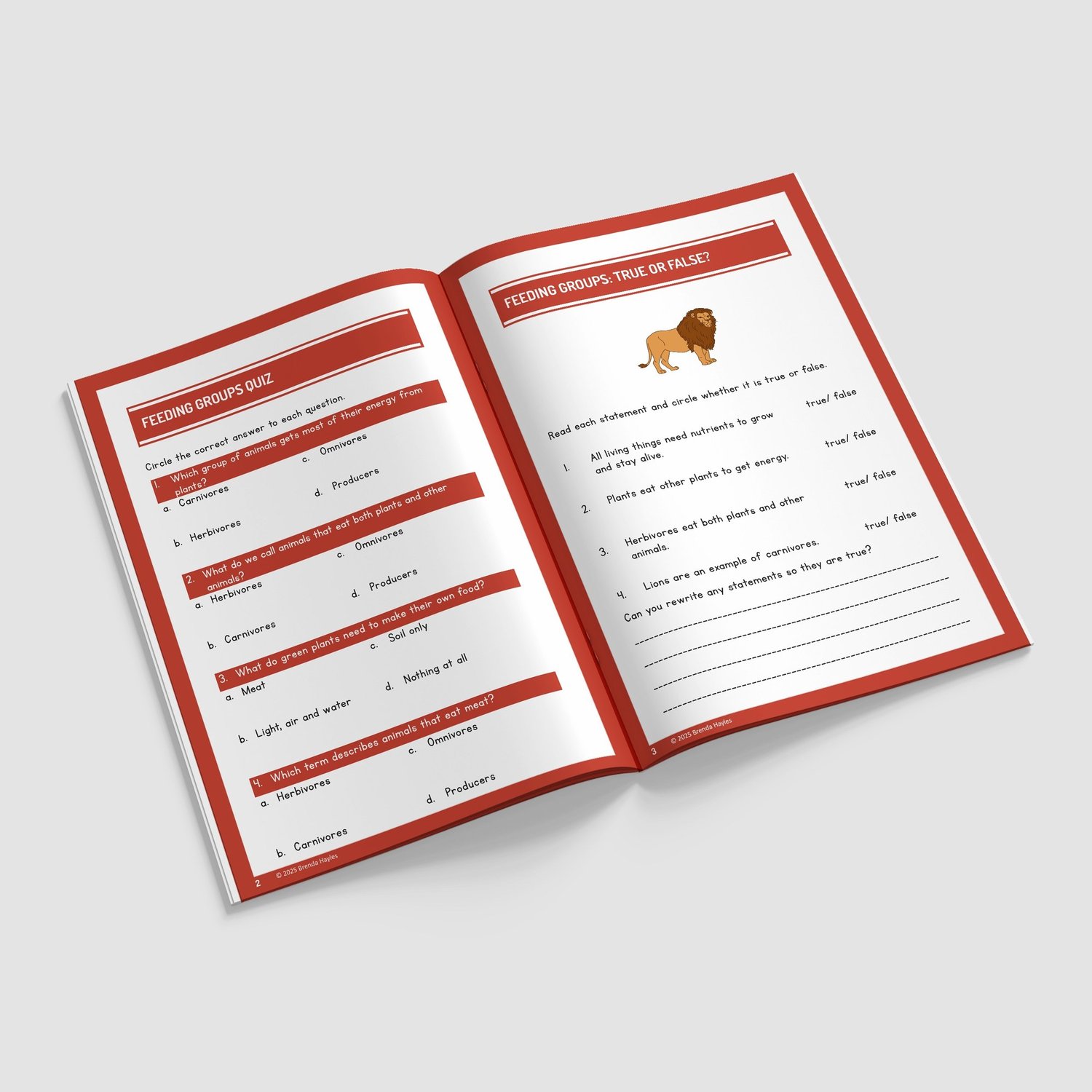 Animals Including Humans Year 3 Worksheet with Answers | KS2 Skeletons, Muscles Workbook: preview page 2 of 4