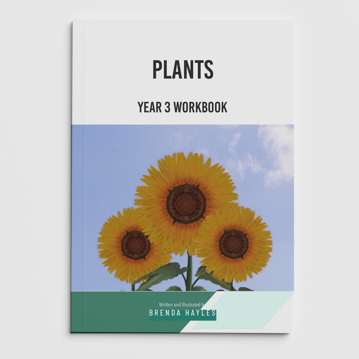 Plants Year 3 Worksheet with Answers | KS2 Plant Parts, Water Transport, Life Cycles Workbook: cover