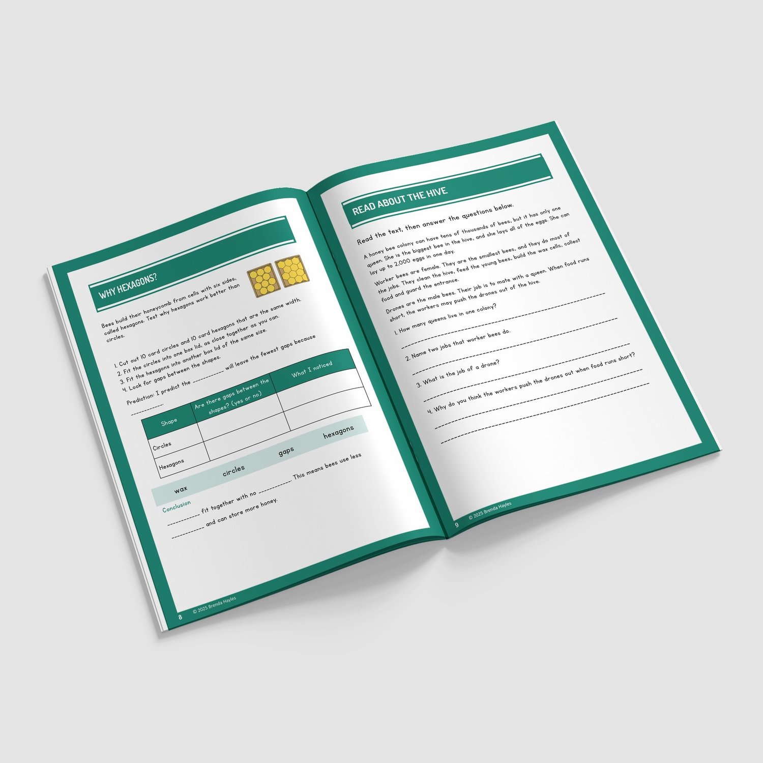 The Bee Project Year 3 Worksheet with Answers | KS2 Science Workbook: preview page 3 of 4