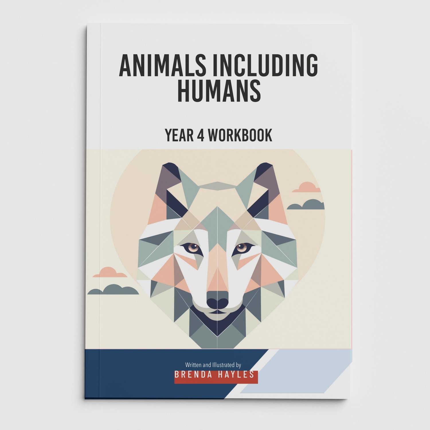 Animals Including Humans Year 4 Worksheet with Answers | KS2 Science Workbook: cover