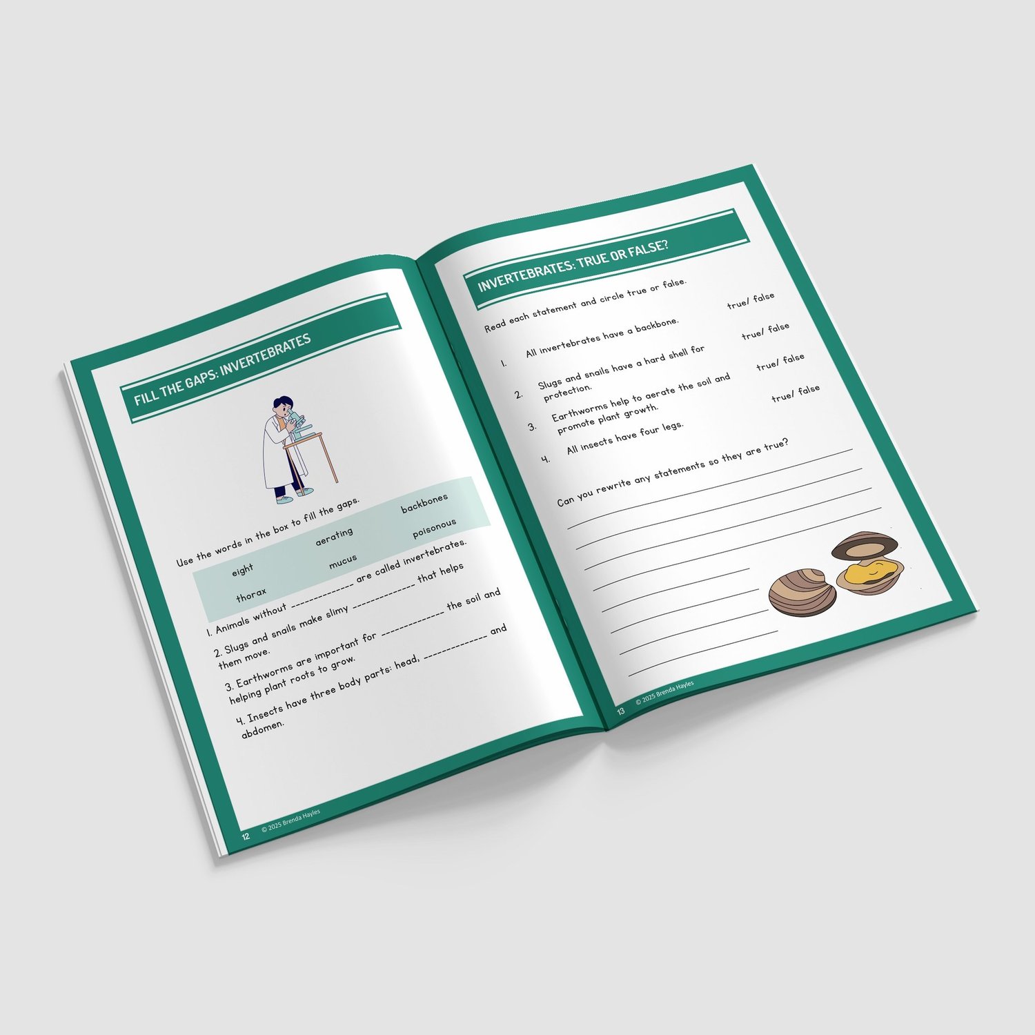 Living Things and Habitats Year 4 Worksheet with Answers | KS2 Classification Workbook: preview page 3 of 4