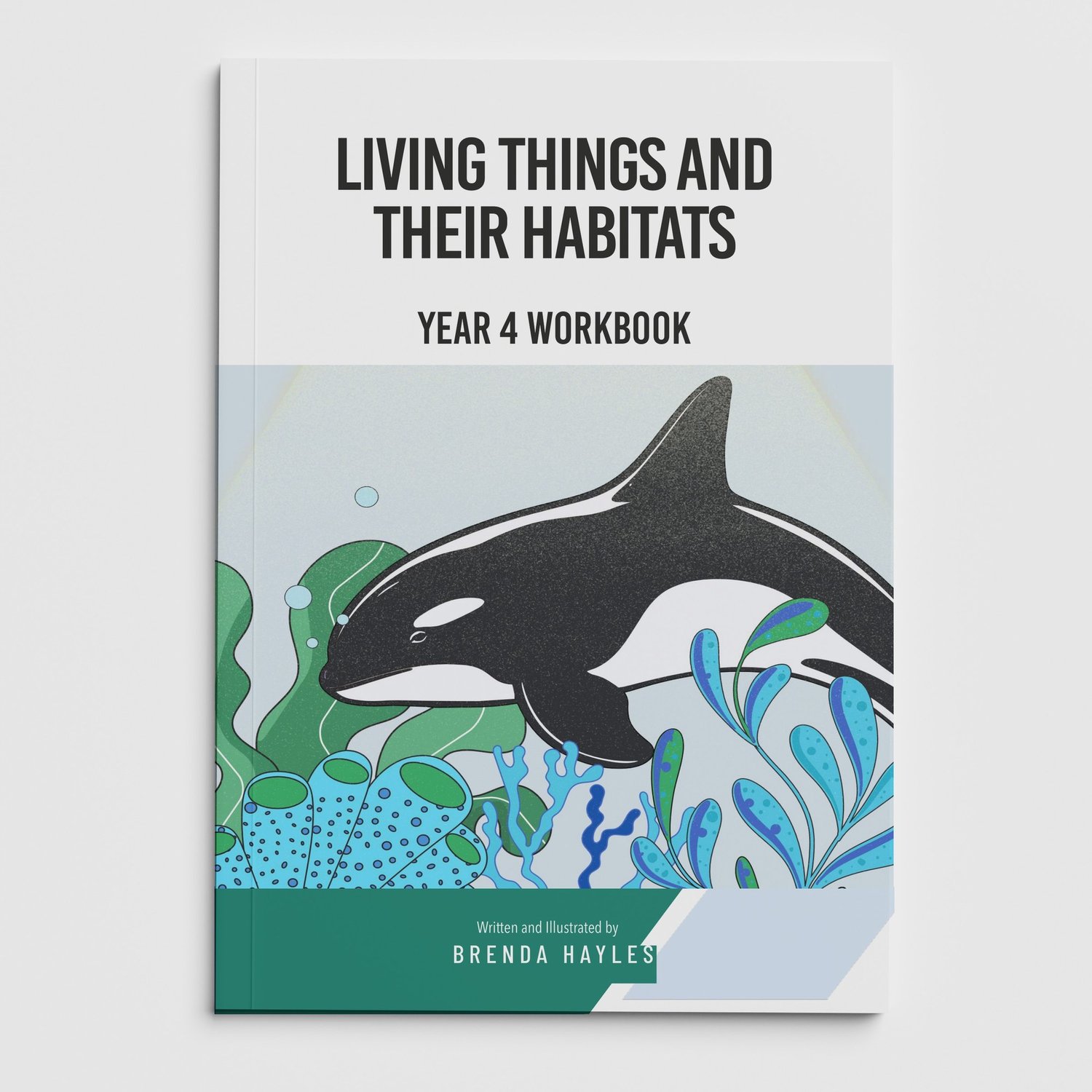 Living Things and Habitats Year 4 Worksheet with Answers | KS2 Classification Workbook: cover