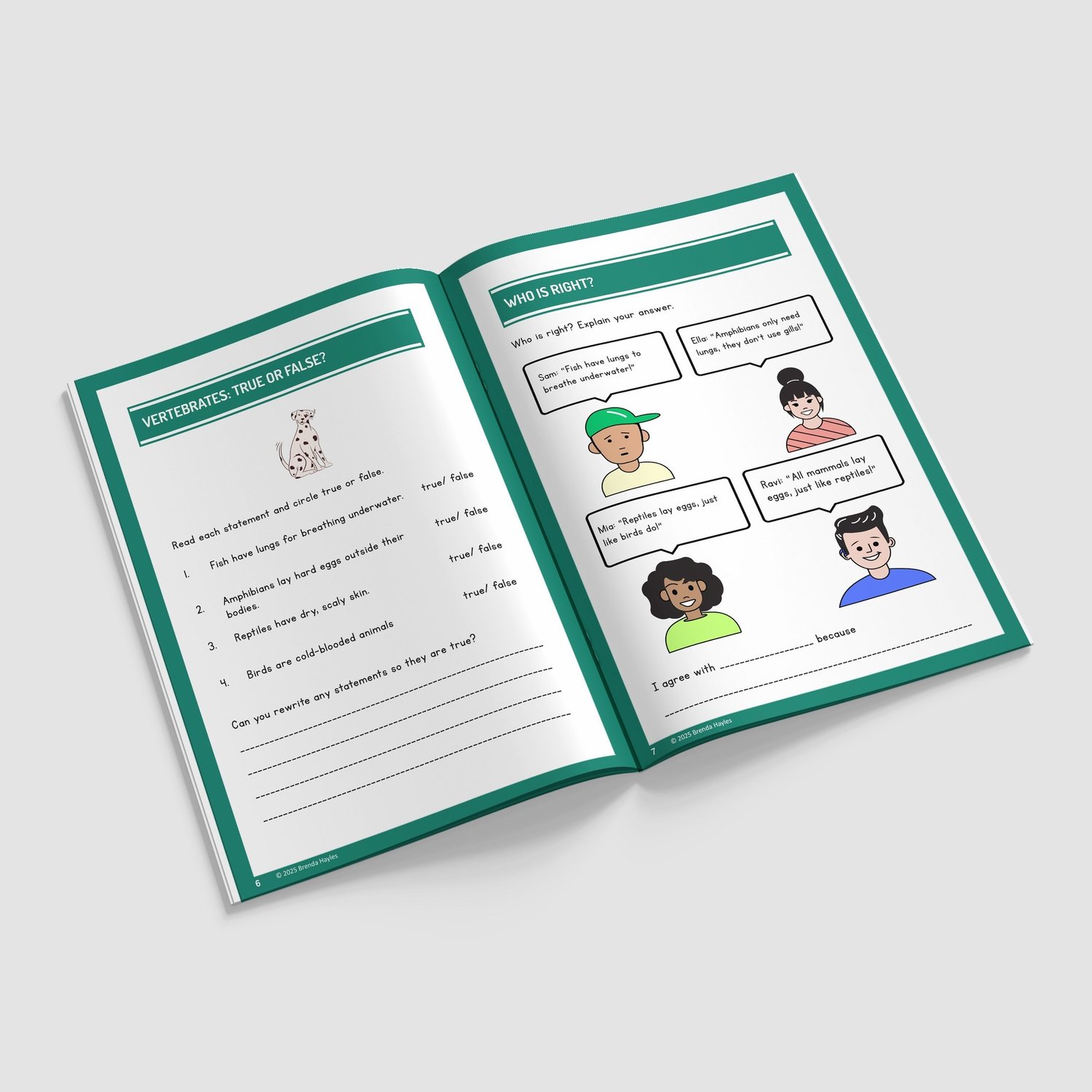 Living Things and Habitats Year 4 Worksheet with Answers | KS2 Classification Workbook: preview page 2 of 4