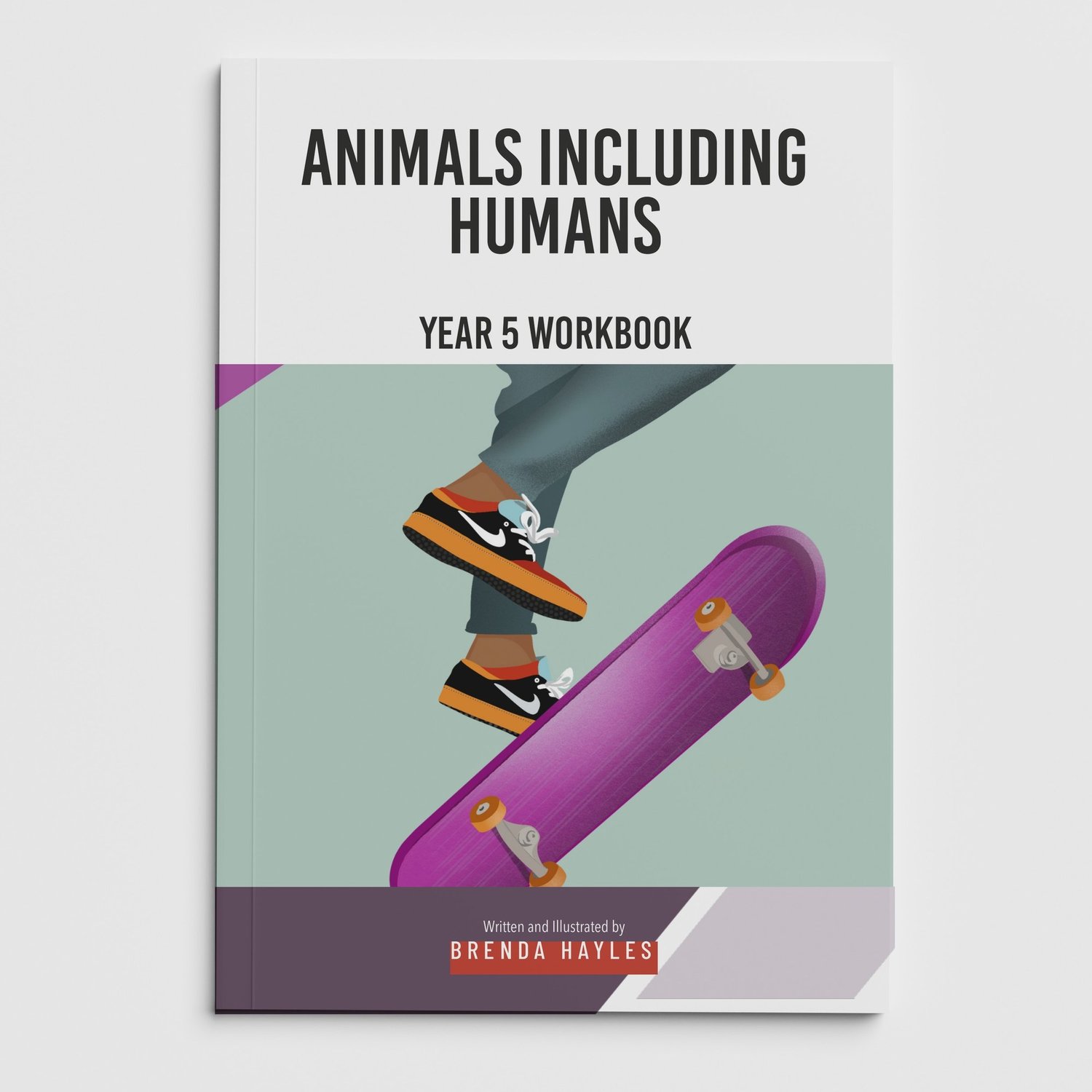 Animals Including Humans Year 5 Worksheet with Answers | KS2 Science Workbook: cover