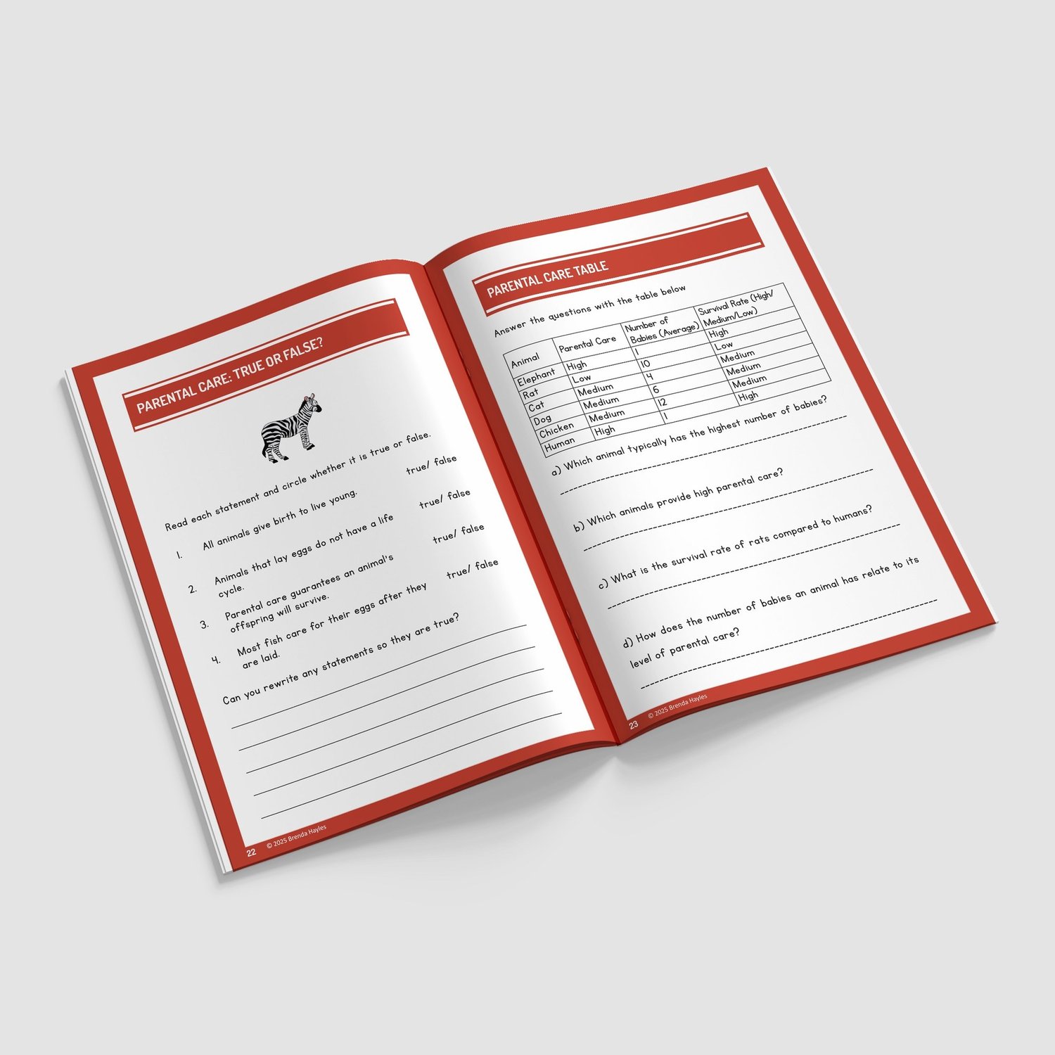 Animals Including Humans Year 5 Worksheet with Answers | KS2 Science Workbook: preview page 3 of 4