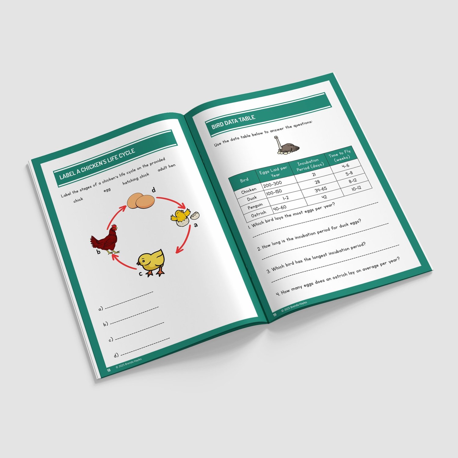 Living Things and Their Habitats Year 5 Worksheet with Answers | KS2 Science Workbook: preview page 3 of 4