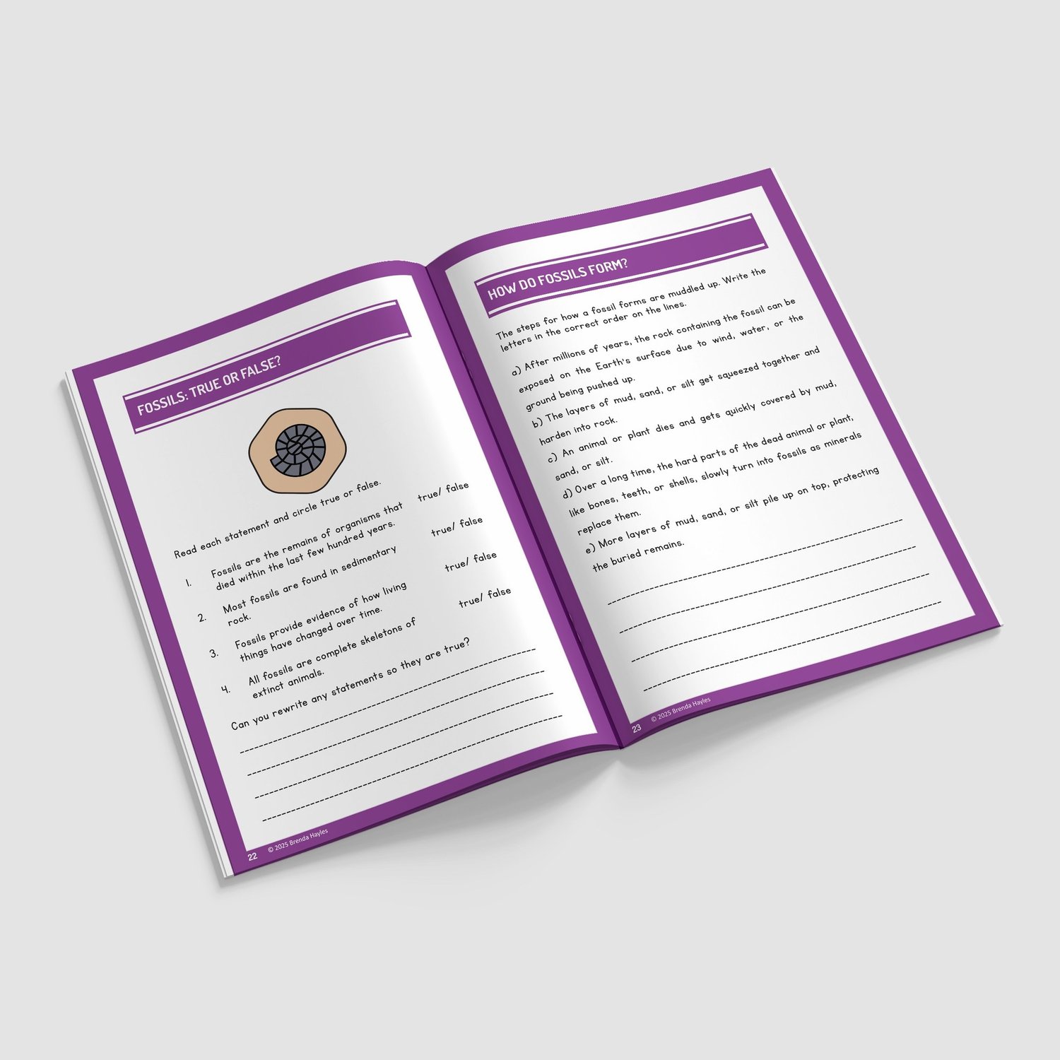Evolution and Inheritance Year 6 Worksheet with Answers | KS2 Science Workbook: preview page 4 of 4