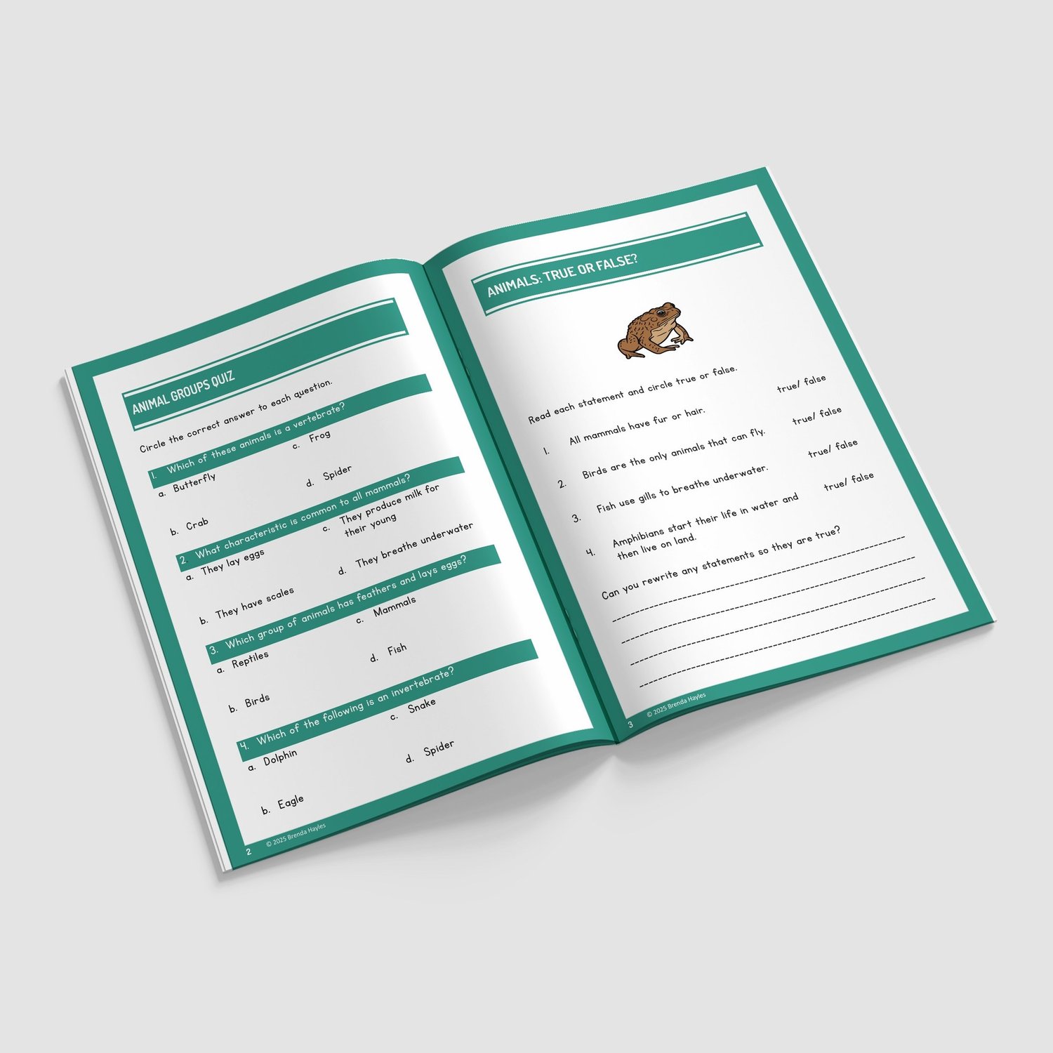 Living Things and Habitats Year 6 Worksheet with Answers | KS2 Primary Science Workbook: preview page 2 of 4