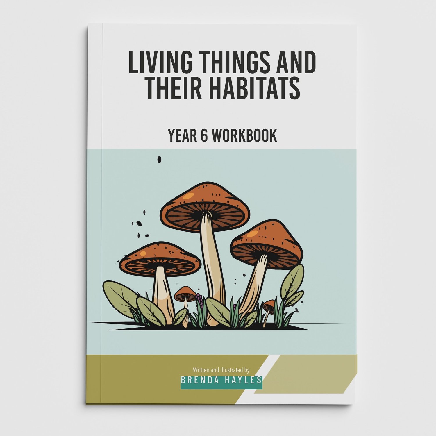 Living Things and Habitats Year 6 Worksheet with Answers | KS2 Primary Science Workbook: cover