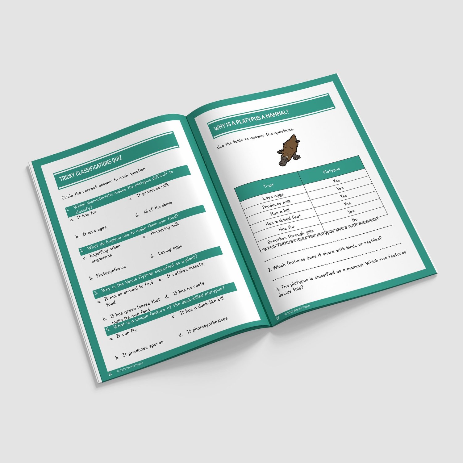 Living Things and Habitats Year 6 Worksheet with Answers | KS2 Primary Science Workbook: preview page 4 of 4