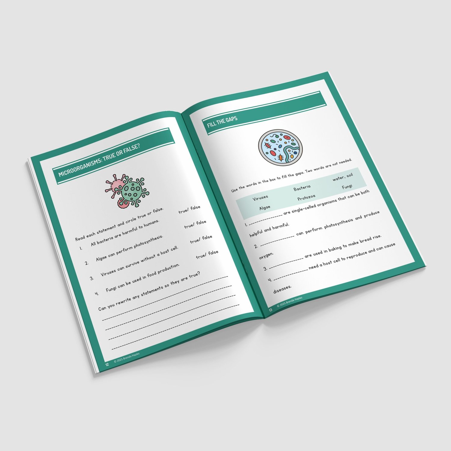 Living Things and Habitats Year 6 Worksheet with Answers | KS2 Primary Science Workbook: preview page 3 of 4