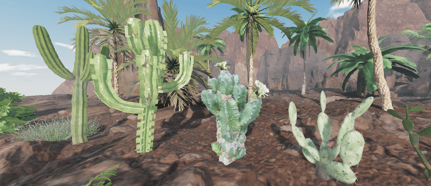Spiky succulents growing across arid ground
