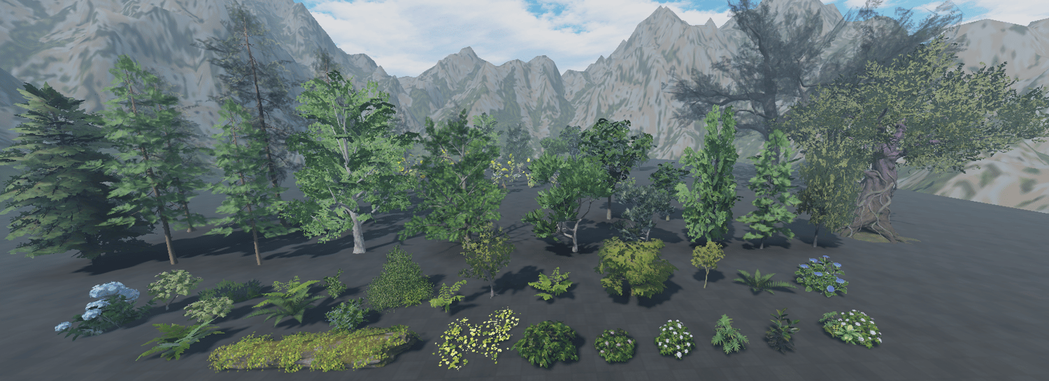 Evergreen conifers and broadleaf trees in woodland