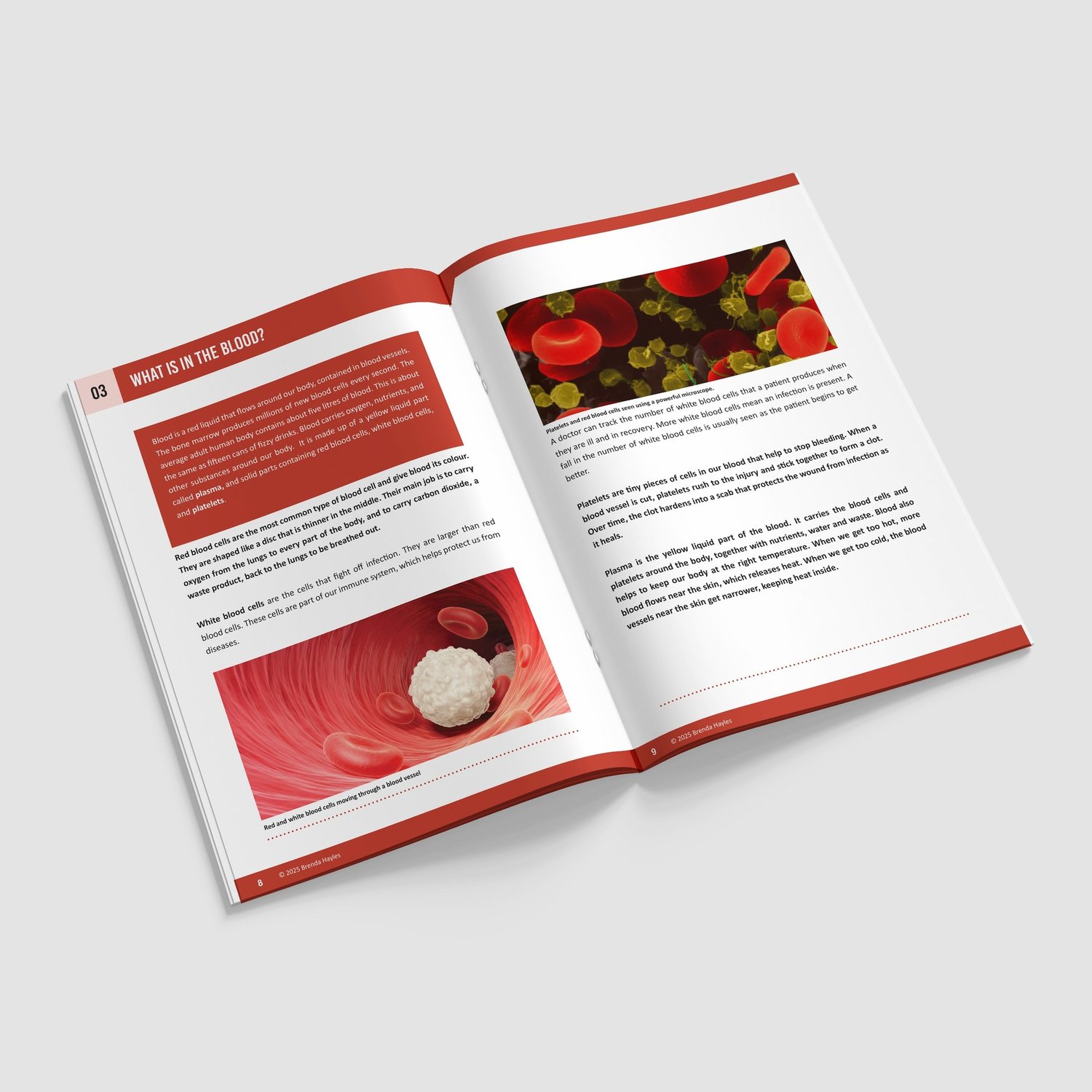 Animals Including Humans Year 6 Booklet | KS2 Science Knowledge Book: Heart, Circulation: preview page 3 of 4