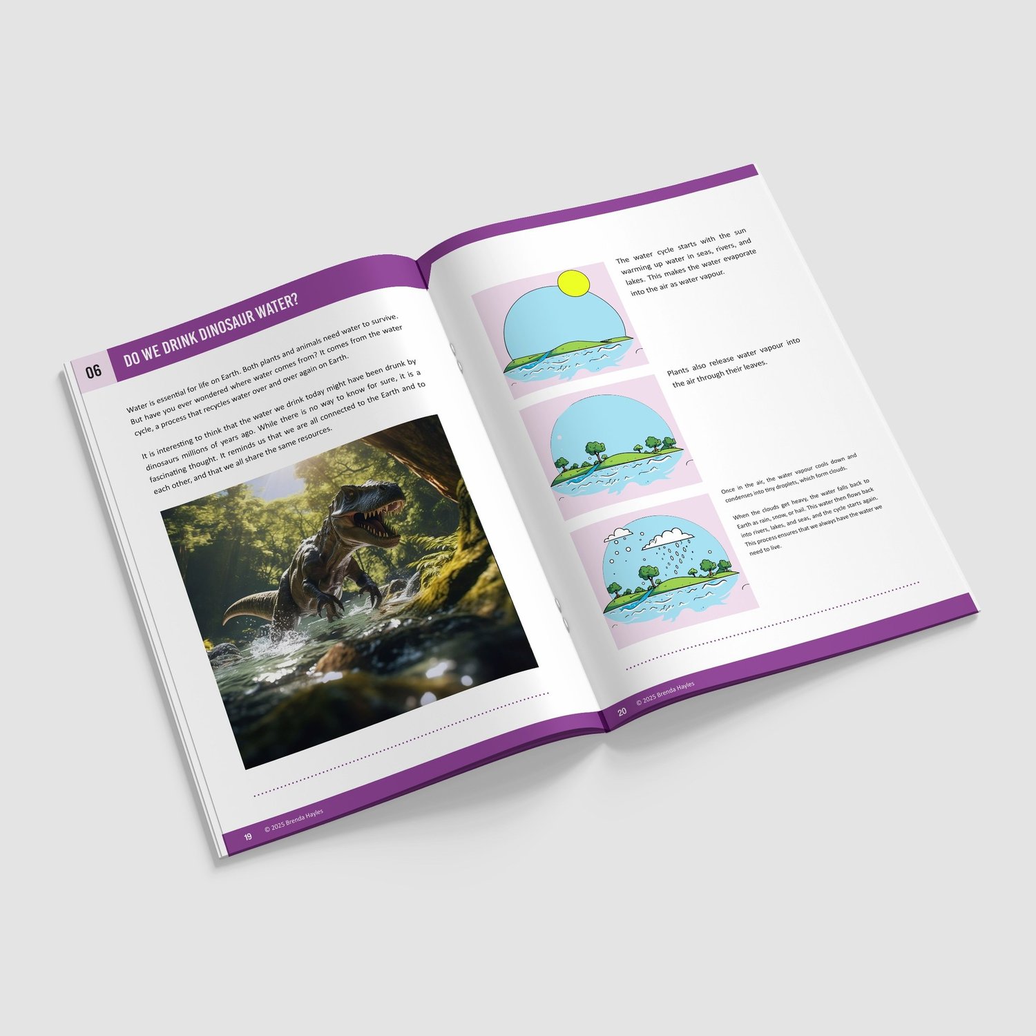 States of Matter Year 4 Booklet | KS2 Science Knowledge Book: Solids, Liquids, Gases: preview page 4 of 4