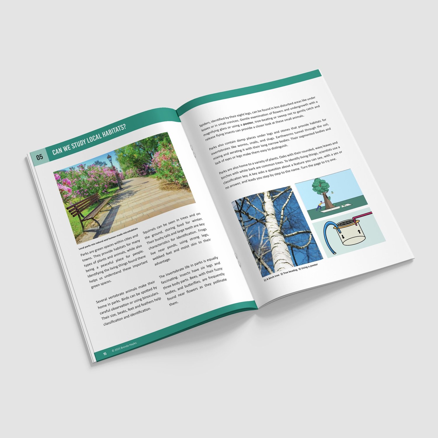 Living Things and Their Habitats Year 6 Booklet | KS2 Science Knowledge Book: Classification, Carl Linnaeus, Microorganisms: preview page 3 of 4