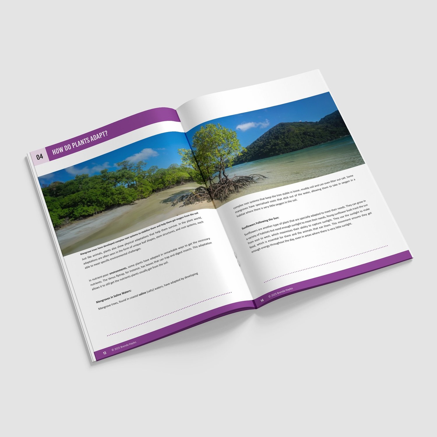 Evolution and Inheritance Year 6 Booklet | KS2 Science Knowledge Book: Adaptation, Darwin, Fossils, Variation: preview page 3 of 4