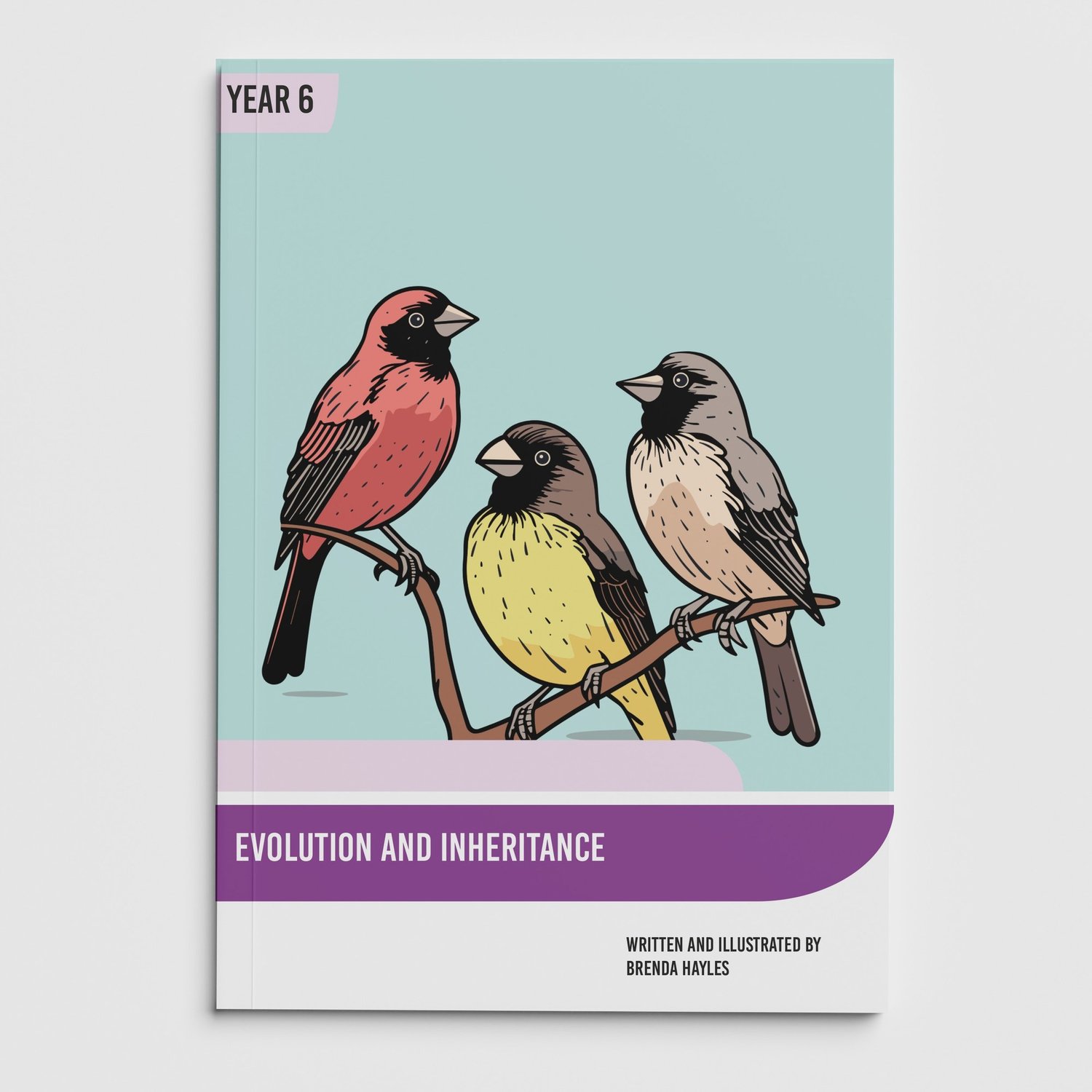 Evolution and Inheritance Year 6 Booklet | KS2 Science Knowledge Book: Adaptation, Darwin, Fossils, Variation: cover