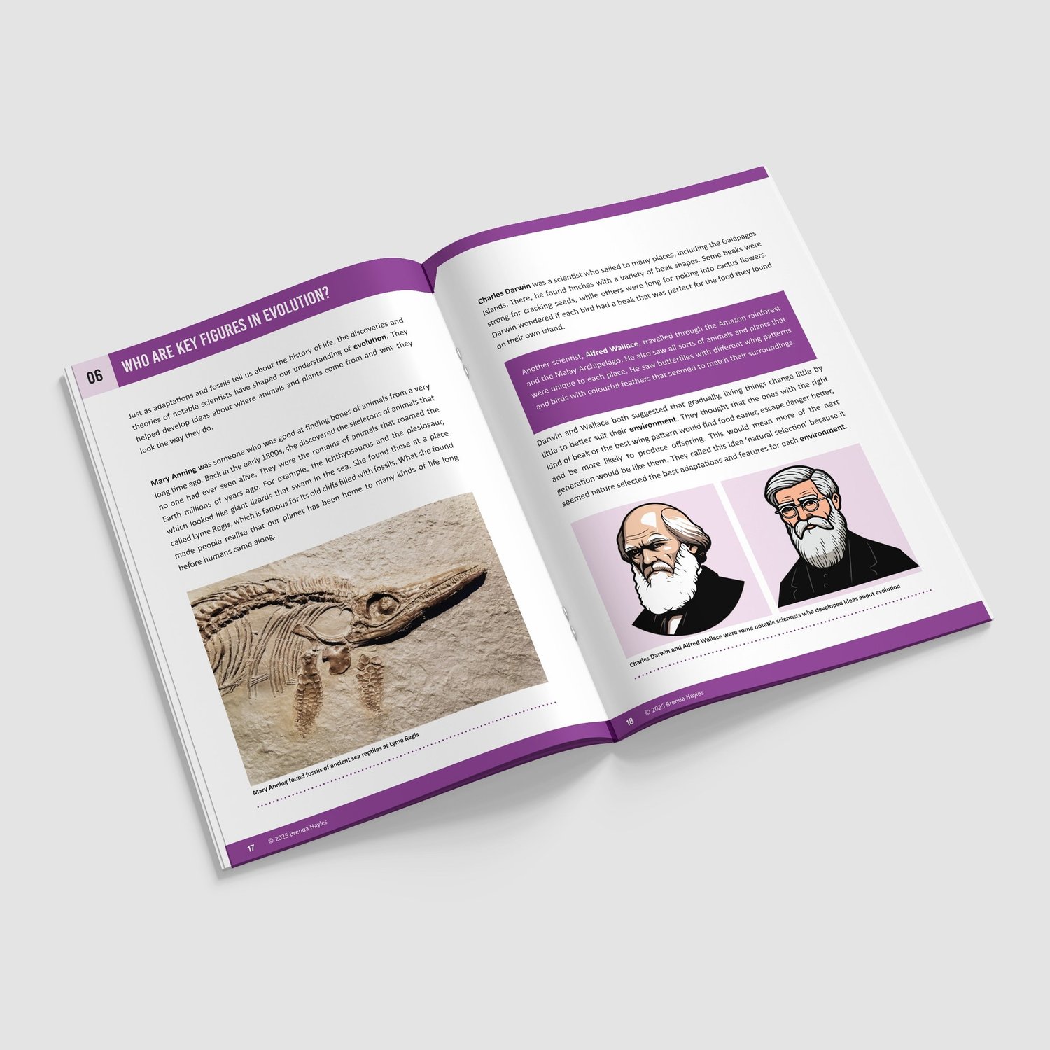 Evolution and Inheritance Year 6 Booklet | KS2 Science Knowledge Book: Adaptation, Darwin, Fossils, Variation: preview page 4 of 4