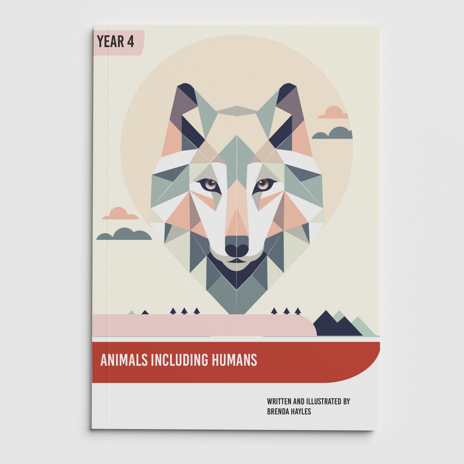 Animals Including Humans Year 4 Booklet | KS2 Science Knowledge Book: Digestion, Teeth: cover