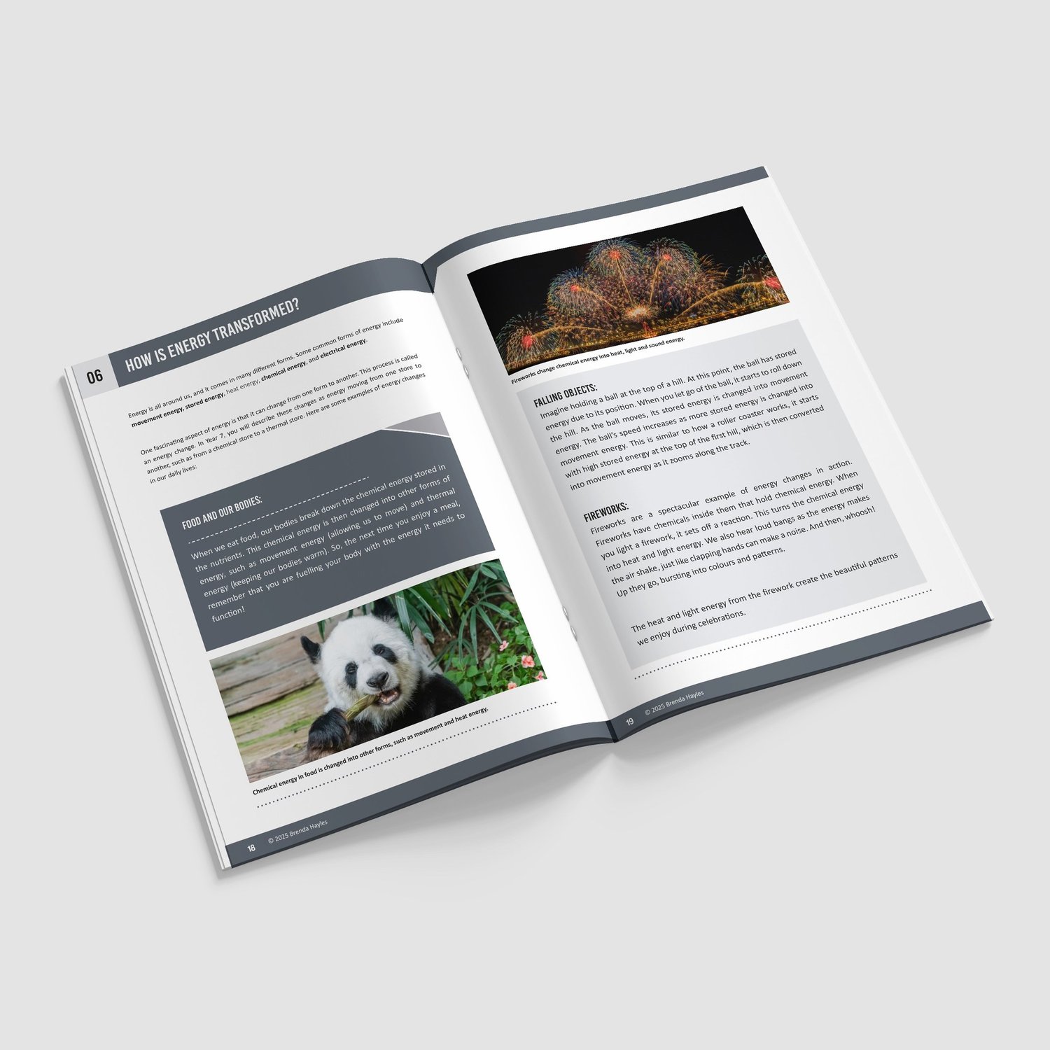 Preparing for Secondary Science Year 6 Booklet | KS2 to KS3 Knowledge Book: preview page 4 of 4