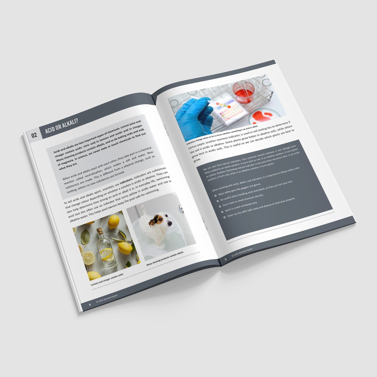 Preparing for Secondary Science Year 6 Booklet | KS2 to KS3 Knowledge Book: preview page 2 of 4