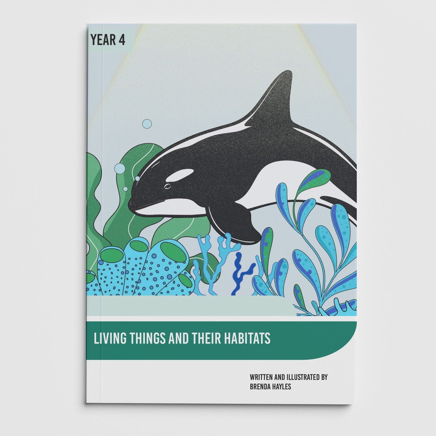 Living Things and Their Habitats Year 4 Booklet | KS2 Science Knowledge Book: Classification: cover