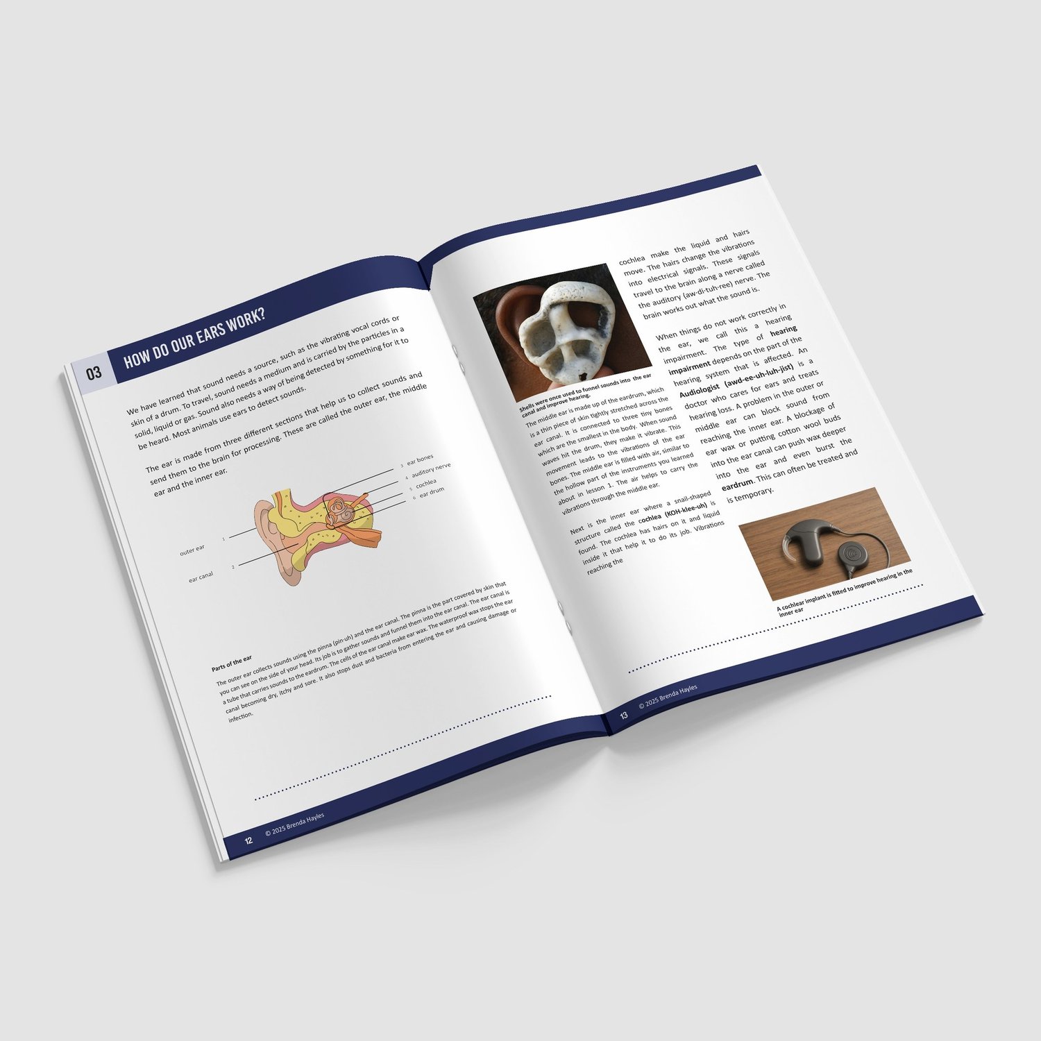 Sound Year 4 Booklet | KS2 Science Knowledge Book: Vibrations, Pitch, Echolocation: preview page 3 of 4