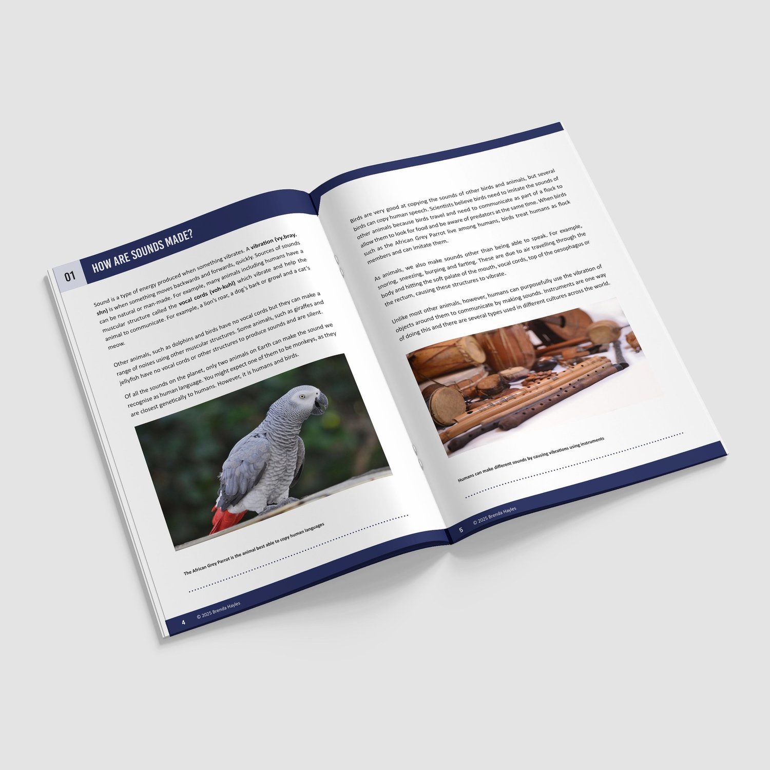 Sound Year 4 Booklet | KS2 Science Knowledge Book: Vibrations, Pitch, Echolocation: preview page 2 of 4