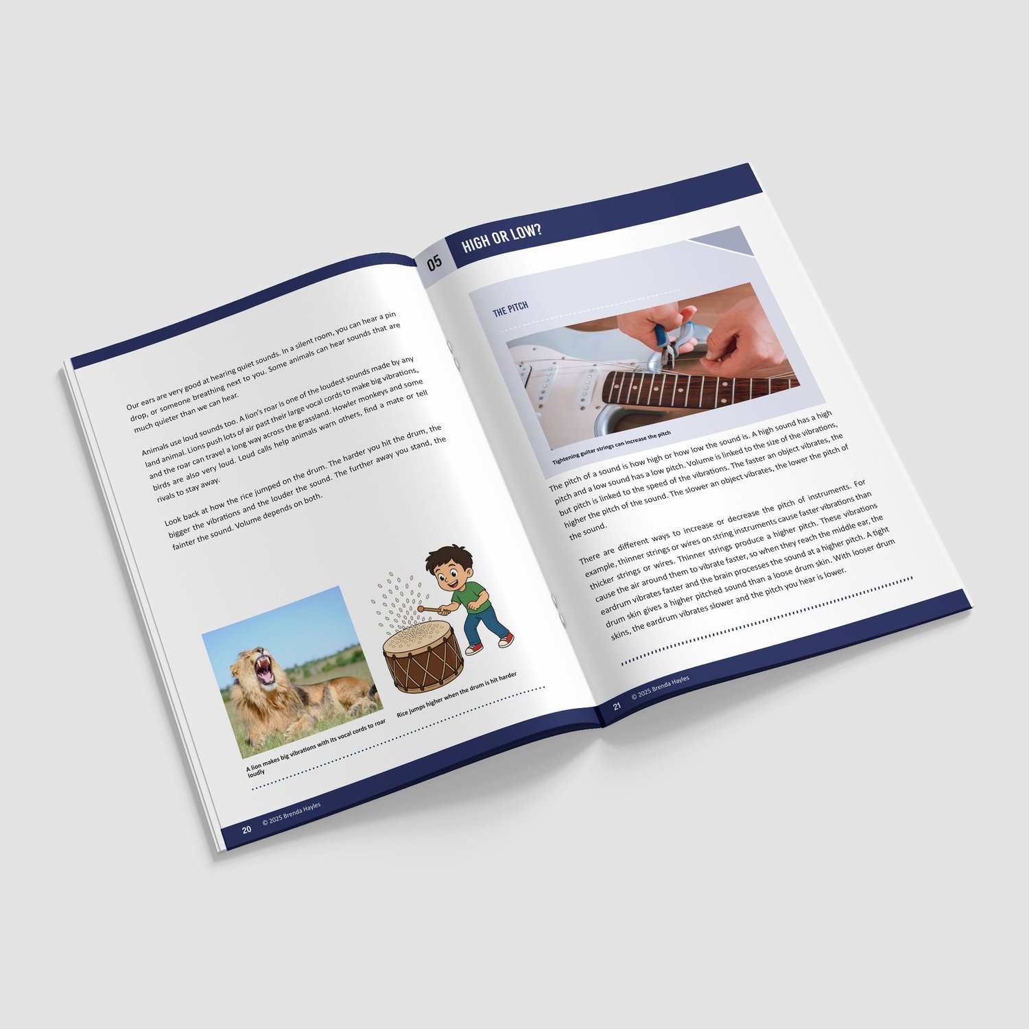 Sound Year 4 Booklet | KS2 Science Knowledge Book: Vibrations, Pitch, Echolocation: preview page 4 of 4