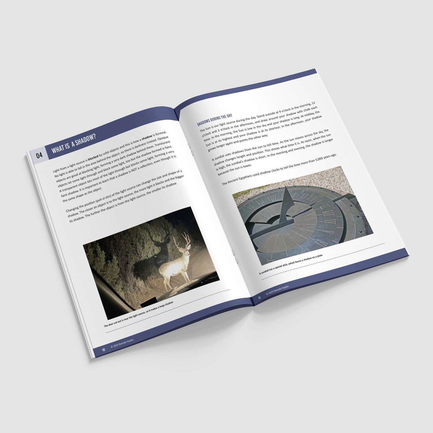 Light Science Booklet | Grades 2-4 | NGSS Aligned | Shadows, Sources and Reflectors: preview page 3 of 4
